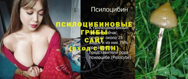 СК Абаза