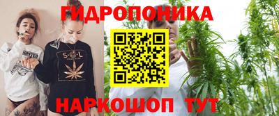 ПСИЛОЦИБИНОВЫЕ ГРИБЫ Кулебаки