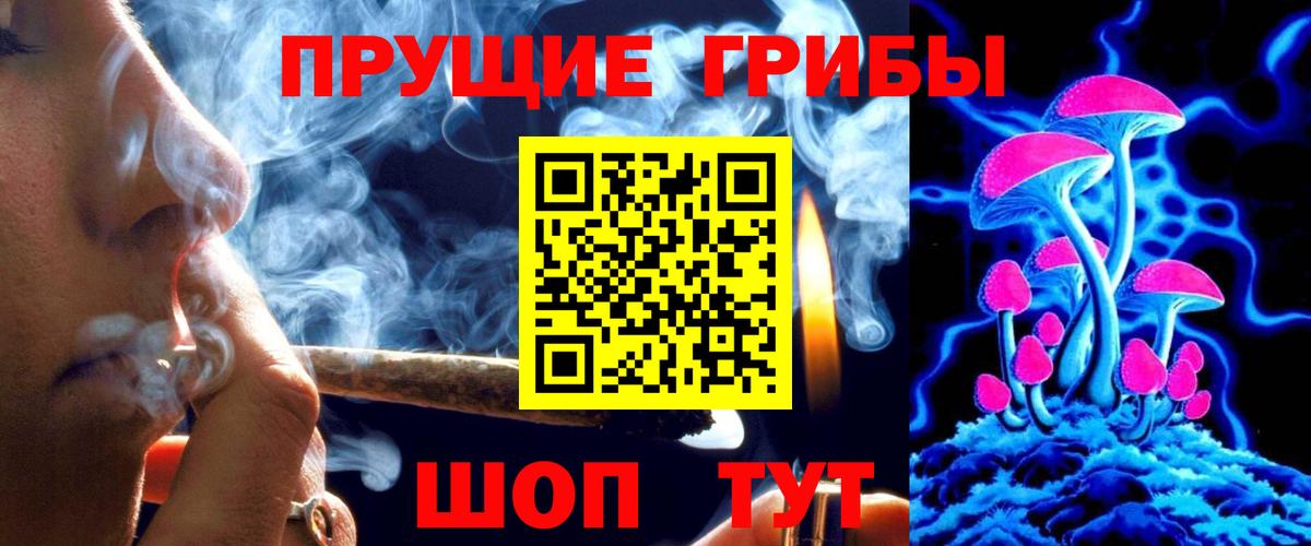 Псилоцибиновые грибы MAGIC MUSHROOMS  Галлюциногенные грибы MAGIC MUSHROOMS  Звенигород  как найти наркотики  Вход с VPN 
