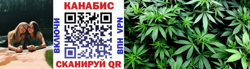 Каннабис SATIVA & INDICA  Звенигород 
